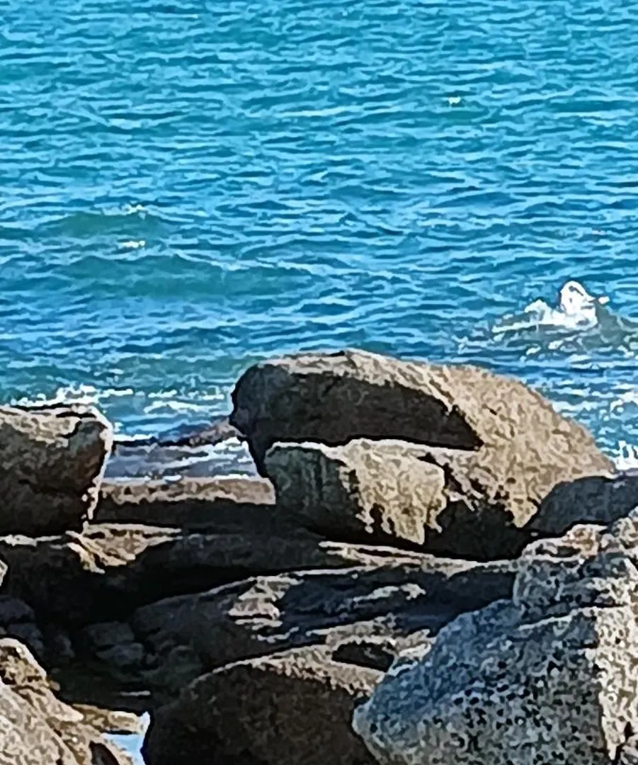 Keranmeriet B Near Pont Aven, Concarneau, Beaches 15Km Melgven